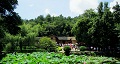 長(zhǎng)沙出發(fā)到花明樓、韶山、張家界國(guó)家森林公園、天門仙山國(guó)家森林公園四日游