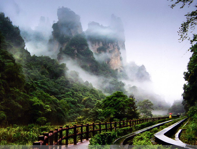 仙境中的張家界十里畫(huà)廊.jpg